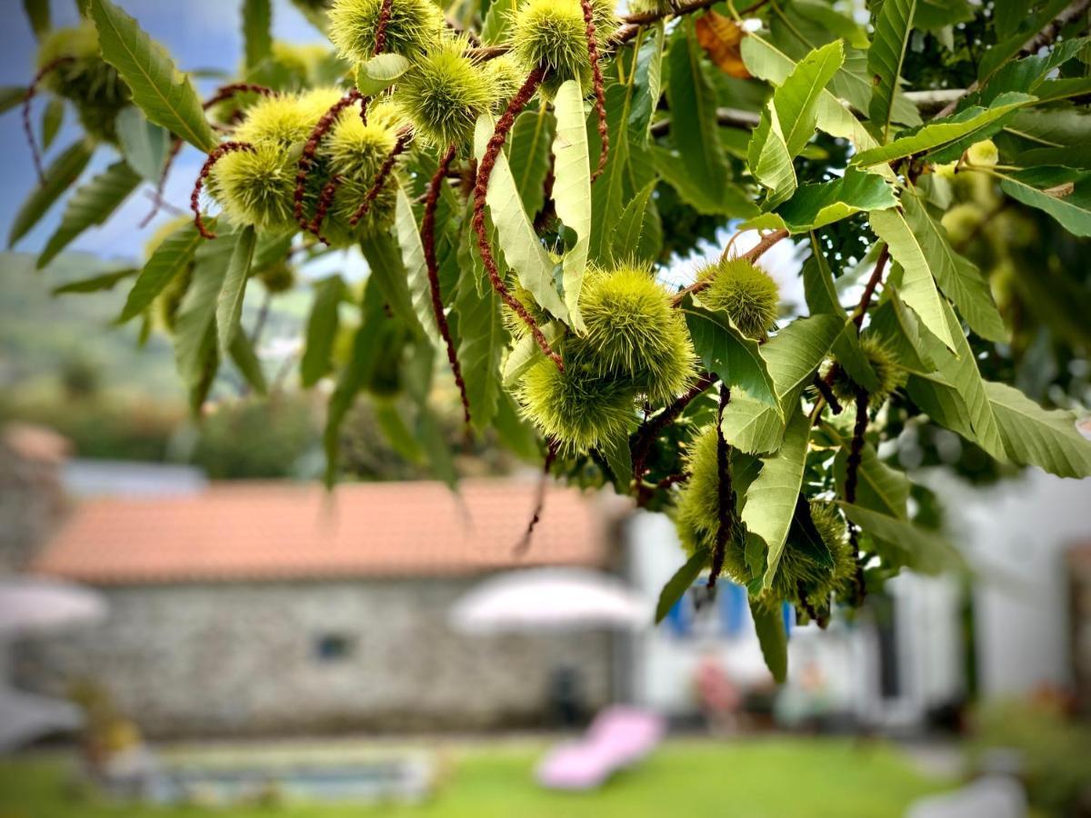 Casa Do Priolo - Villaverde Azores Feteiras Экстерьер фото